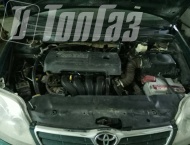   Toyota Corolla -  