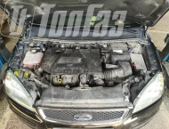   Ford Focus - 