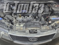��� �� Kia Cerato  - 