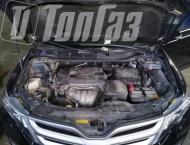   Toyota Venza - 