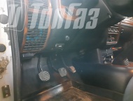 ��� �� ��� 31105 - 